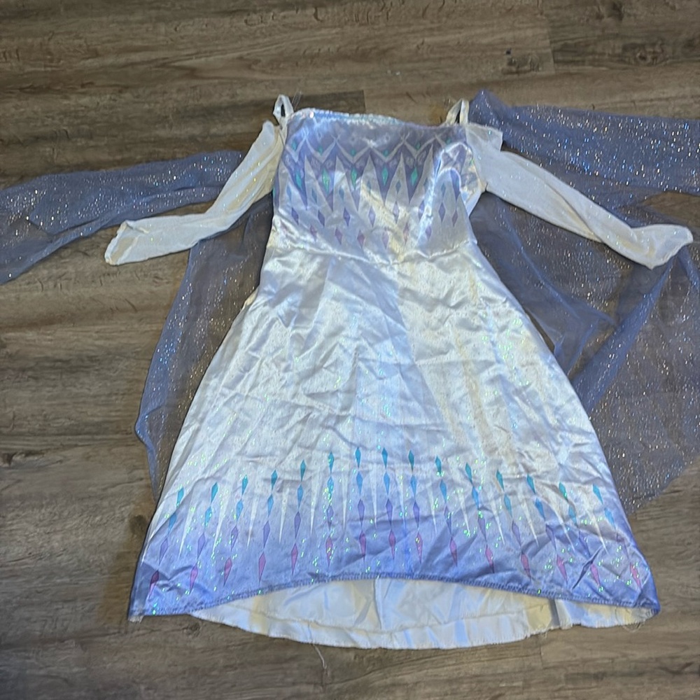 Disney Frozen Elsa Costume - White and Blue